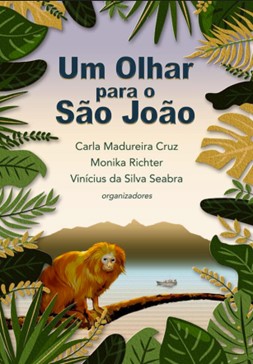 UM OLHAR PARA O SÃO JOÃO